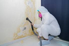 Mold Odor Removal Services in Pacific, WA